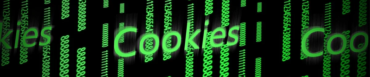 GPO Cookies Policy