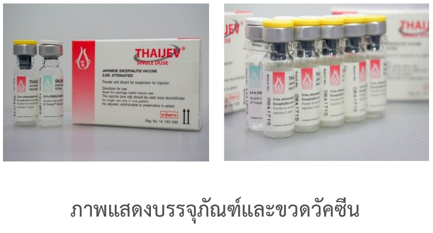 JE Vaccine